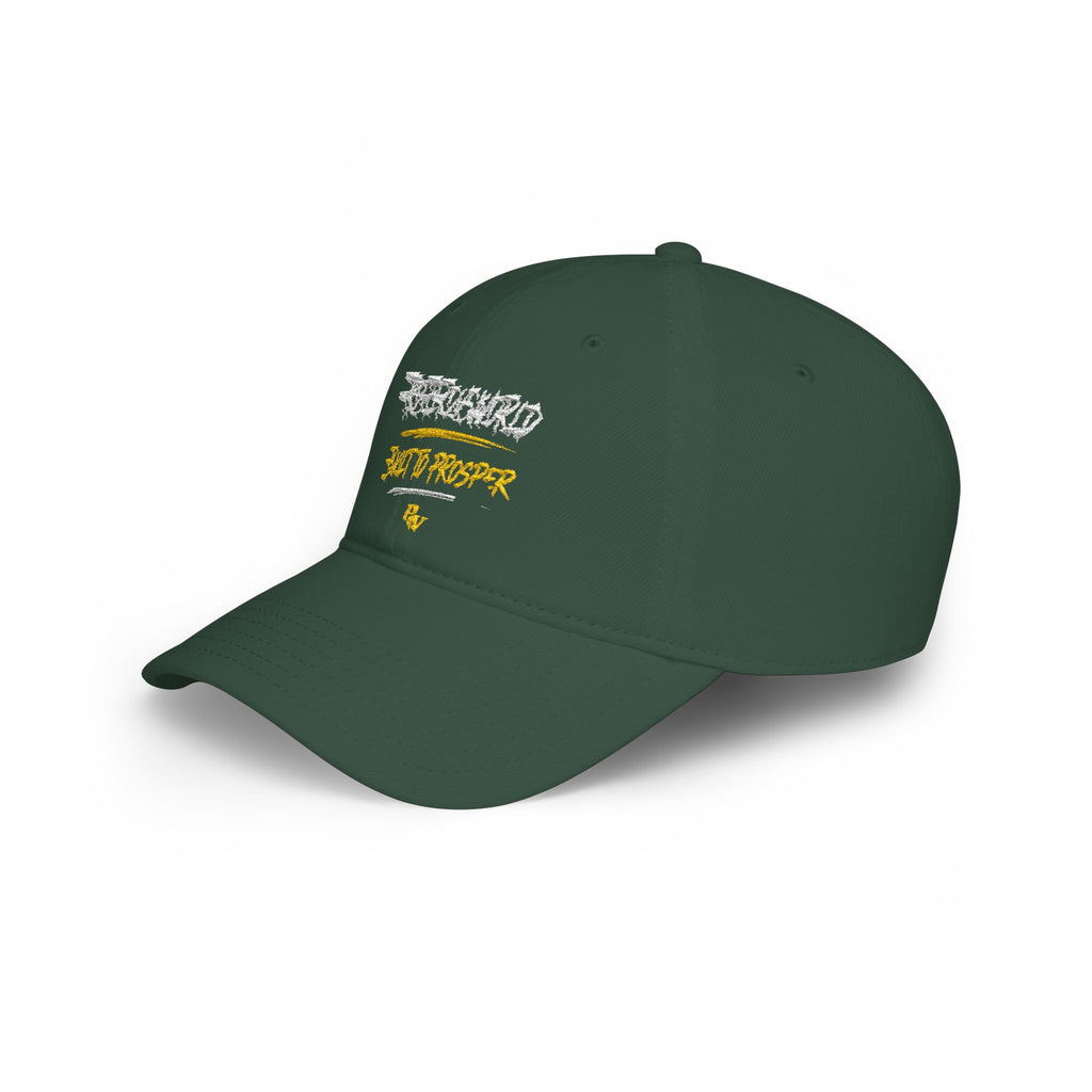 Low Profile Baseball Cap —