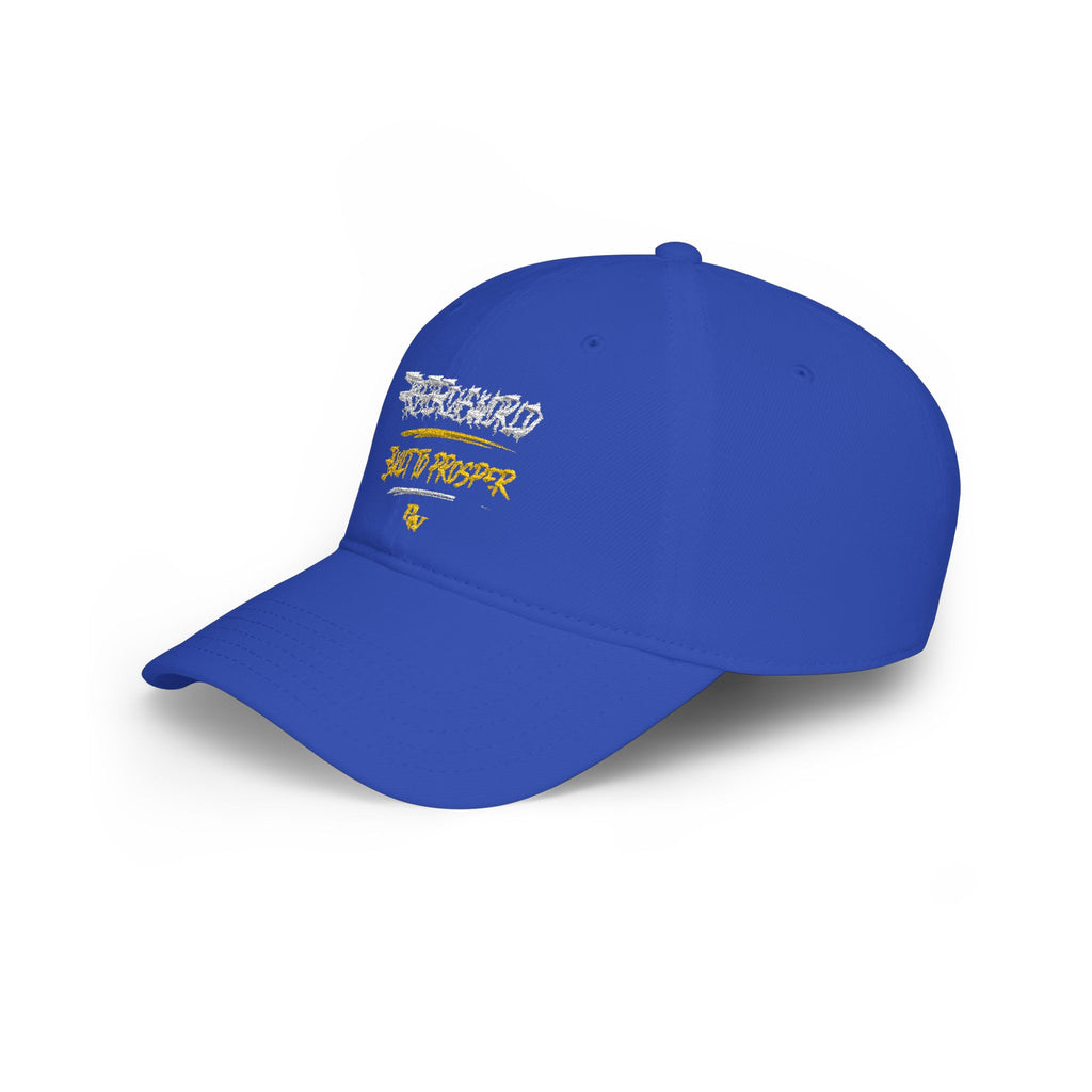 Low Profile Baseball Cap —