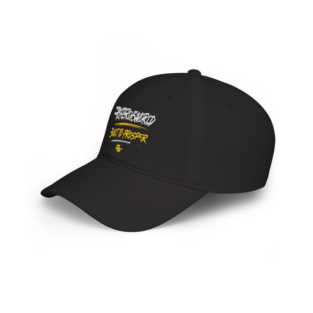 Low Profile Baseball Cap —