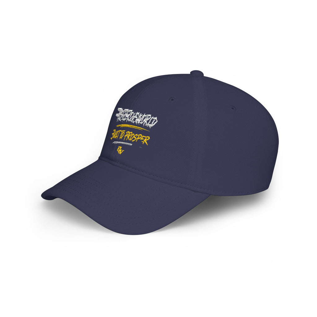 Low Profile Baseball Cap —