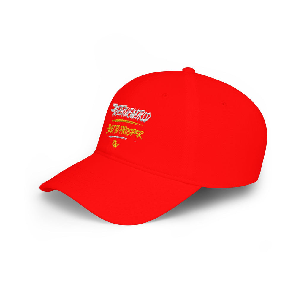 Low Profile Baseball Cap —